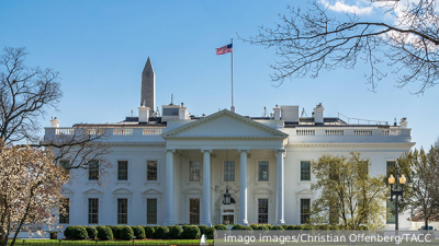 Верховный суд отклонил жалобу бизнесмена Каменщика на изъятие Домодедово