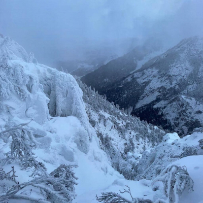Сибиряки разошлись во мнении о судьбе туристов Усольцевых