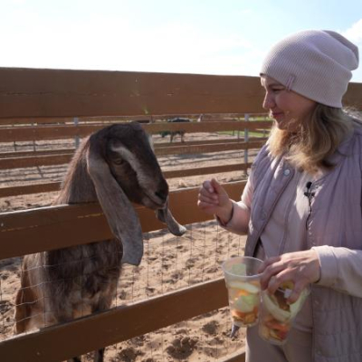 Альпаки, страусы и виноград: куда поехать в Татарстане за новыми впечатлениями
