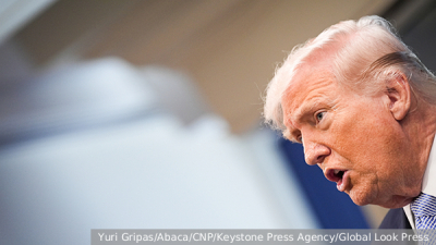 Демократы внесли законопроект о проверке дееспособности Трампа