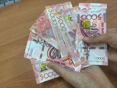 В Казахстане хотят изменить порог взыскания долгов по соцплатежам