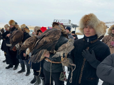 Беркутов стремительный полет