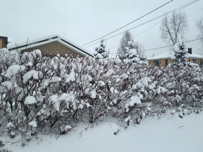 Дорогу в Жуковском районе, которую обещали отремонтировать летом, зимой чистят с опозданием