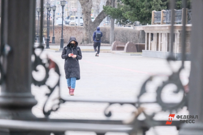 В Кремле прокомментировали восстановление мобильной связи в Москве