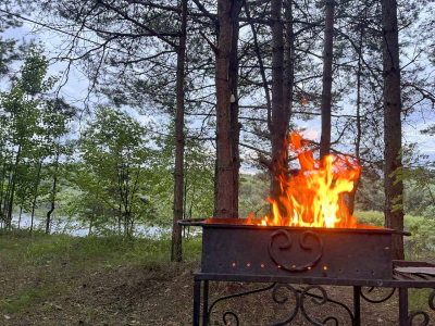 Пожарить мясо и подышать свежим воздухом: где в Тюмени можно организовать пикник