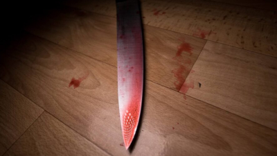 "Потому что он тв*рь беспомощная!": женщина ударила сожителя ножом из-за отказа погладить вещи 22/01/2026 &ndash; Новости