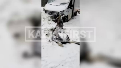 Грузовик сбил лосенка на трассе под Казанью - видео с места 13/02/2026 – Новости